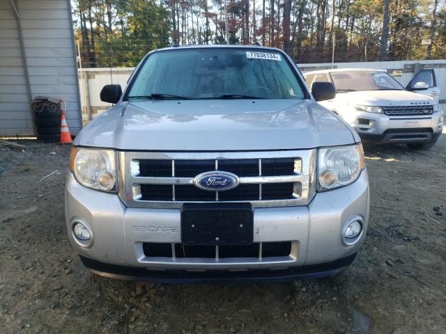 2011 Ford Escape XLT