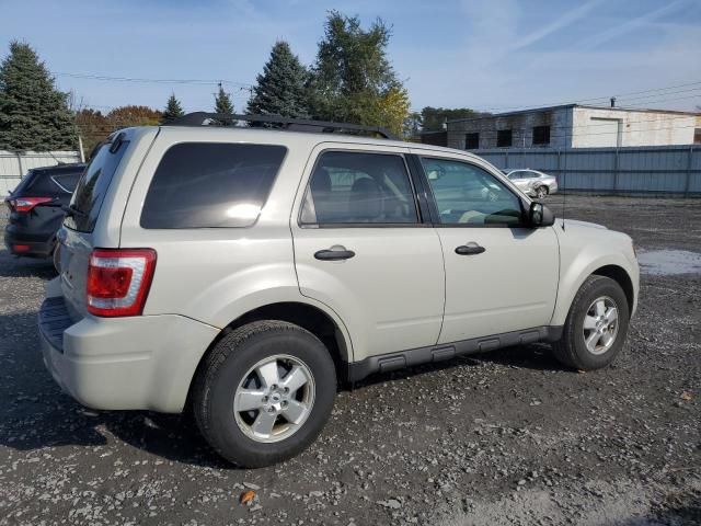 2009 Ford Escape XLT