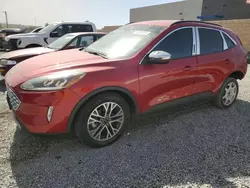 Ford Escape salvage cars for sale: 2020 Ford Escape SEL