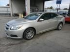 2013 Chevrolet Malibu 1LT