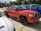 2006 Dodge Dakota SLT