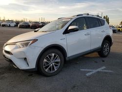 Toyota salvage cars for sale: 2016 Toyota Rav4 HV XLE