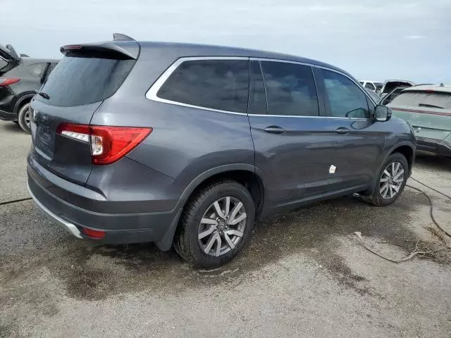 2019 Honda Pilot EXL