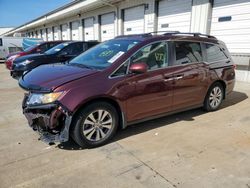 Salvage cars for sale at Louisville, KY auction: 2016 Honda Odyssey EXL