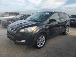 Salvage cars for sale at Riverview, FL auction: 2014 Ford Escape Titanium