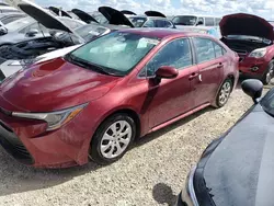 2023 Toyota Corolla LE en venta en Arcadia, FL