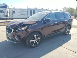 KIA Sorento salvage cars for sale: 2017 KIA Sorento EX