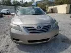 2008 Toyota Camry Hybrid