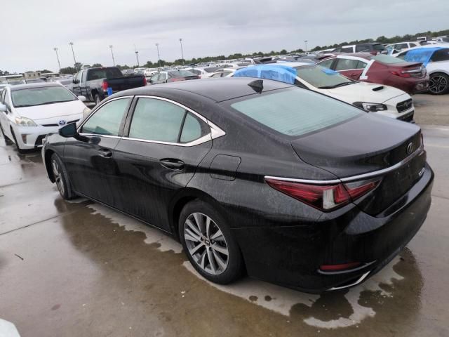 2019 Lexus ES 350