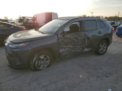 Vehiculos salvage en venta de Copart Indianapolis, IN: 2023 Toyota Rav4 XLE