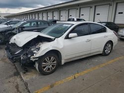 2010 Nissan Altima Base en venta en Louisville, KY