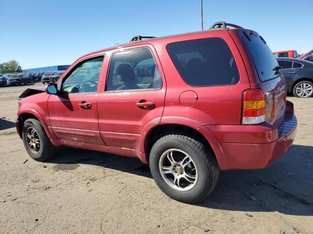 2006 Ford Escape Limited