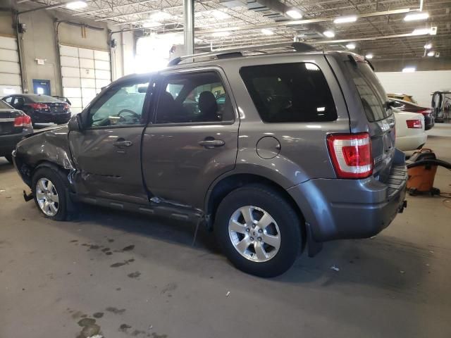 2010 Ford Escape Limited