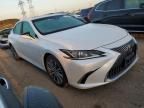 2020 Lexus ES 350