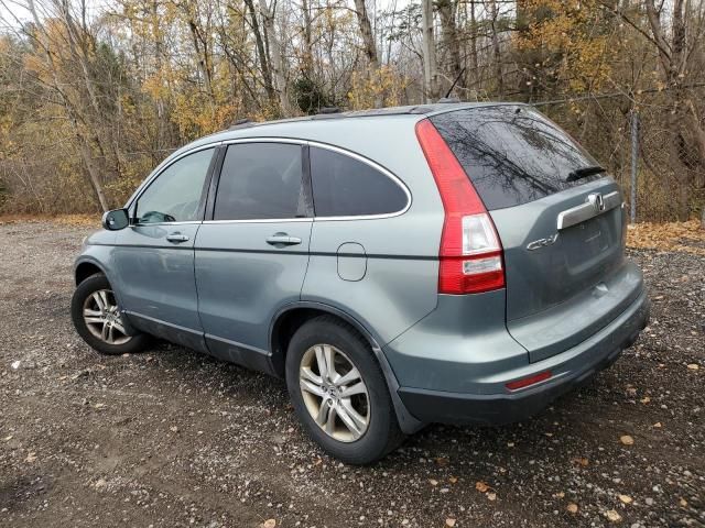 2010 Honda CR-V EXL