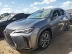 2019 Lexus UX 200