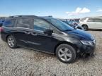 2019 Honda Odyssey EXL