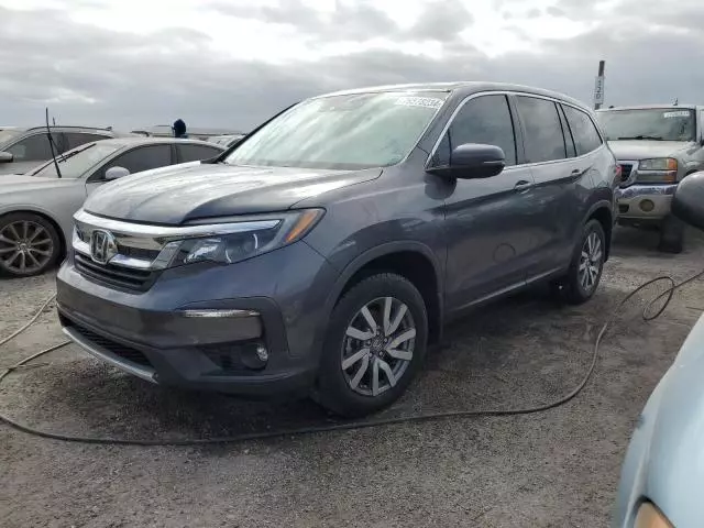 2019 Honda Pilot EXL