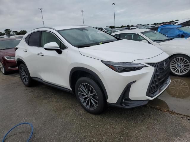 2023 Lexus NX 250