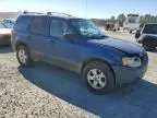 2007 Ford Escape XLT