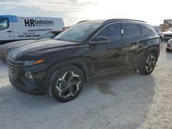 Salvage cars for sale from Copart Arcadia, FL: 2023 Hyundai Tucson Limited