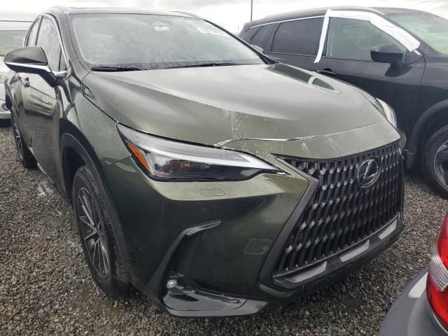 2024 Lexus NX 350H Base