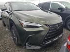 2024 Lexus NX 350H Base