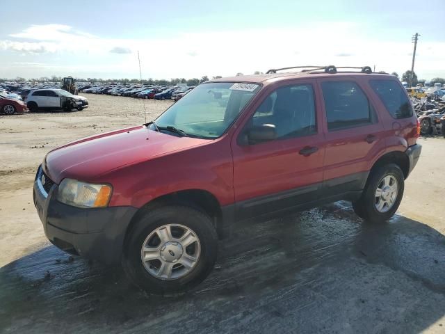 2004 Ford Escape XLT