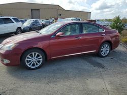 Lexus Vehiculos salvage en venta: 2011 Lexus ES 350