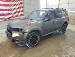 Vehiculos salvage en venta de Copart Columbia, MO: 2011 Ford Escape XLT