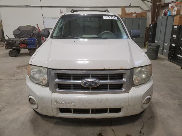 2010 Ford Escape XLT