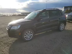 Salvage cars for sale at Nisku, AB auction: 2009 Volkswagen Tiguan SE