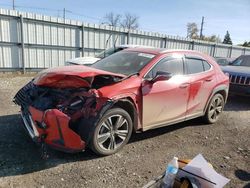 Lexus Vehiculos salvage en venta: 2020 Lexus UX 250H