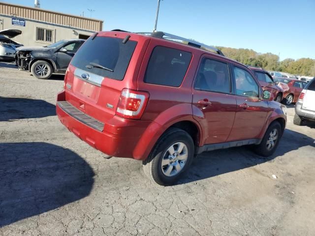 2011 Ford Escape Limited