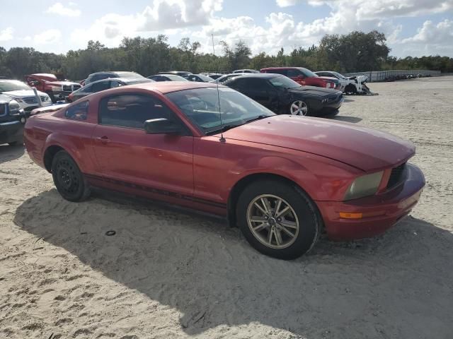 2005 Ford Mustang