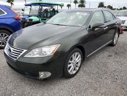 2010 Lexus ES 350 en venta en Arcadia, FL