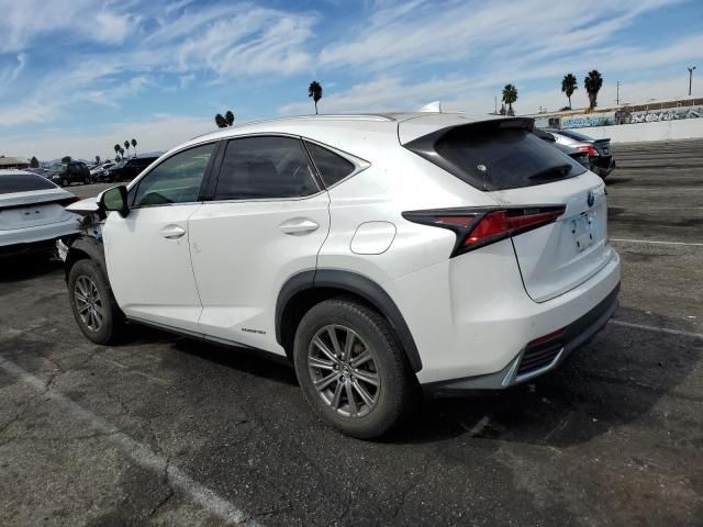 2019 Lexus NX 300H