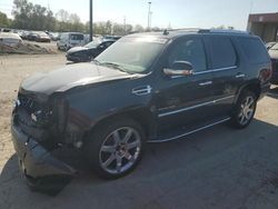 Cadillac salvage cars for sale: 2011 Cadillac Escalade Luxury