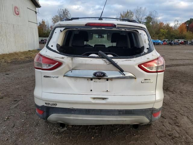 2013 Ford Escape SEL