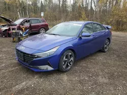 2023 Hyundai Elantra SEL en venta en Cookstown, ON