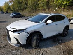 Lexus salvage cars for sale: 2022 Lexus NX 350