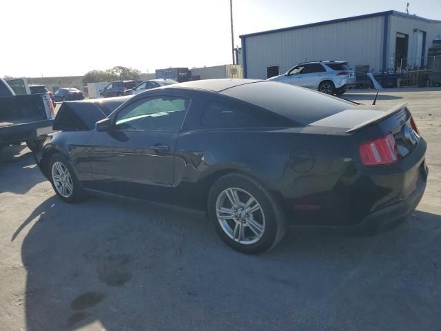 2010 Ford Mustang