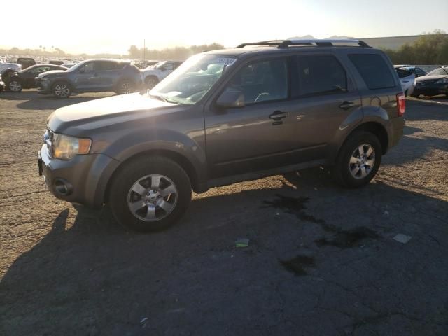 2011 Ford Escape Limited