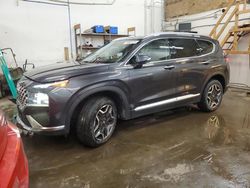 Salvage cars for sale at Ham Lake, MN auction: 2023 Hyundai Santa FE Limited