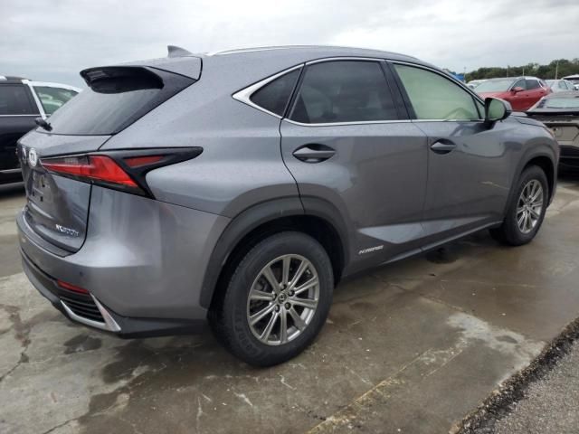 2020 Lexus NX 300H