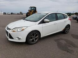 Salvage cars for sale at Ham Lake, MN auction: 2014 Ford Focus SE