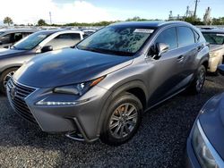 Salvage cars for sale at Riverview, FL auction: 2018 Lexus NX 300 Base