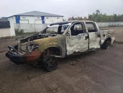 Salvage cars for sale from Copart Atlantic Canada Auction, NB: 2013 Ford F150 Supercrew