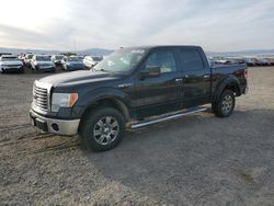 2010 Ford F150 Supercrew en venta en Helena, MT