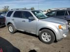 2010 Ford Escape Hybrid